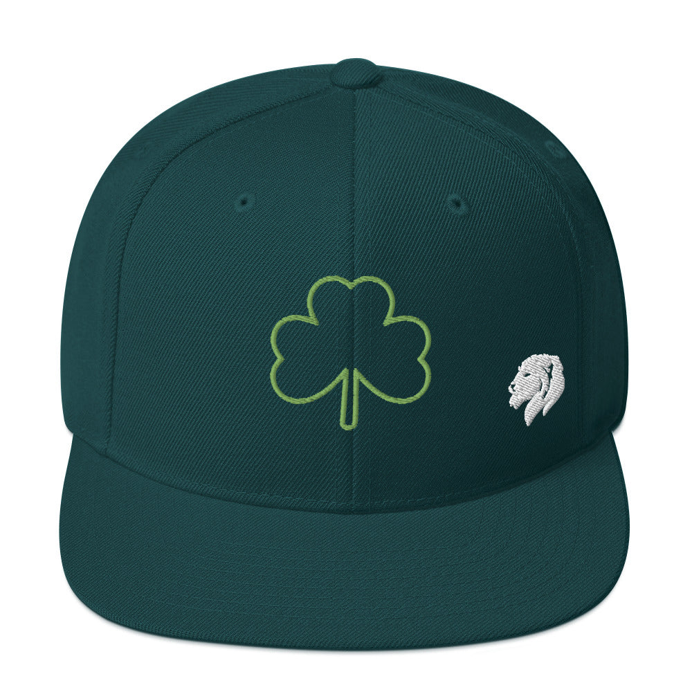 0803z Snapback Cap, Earth - Clover Shamrock Ireland, 02