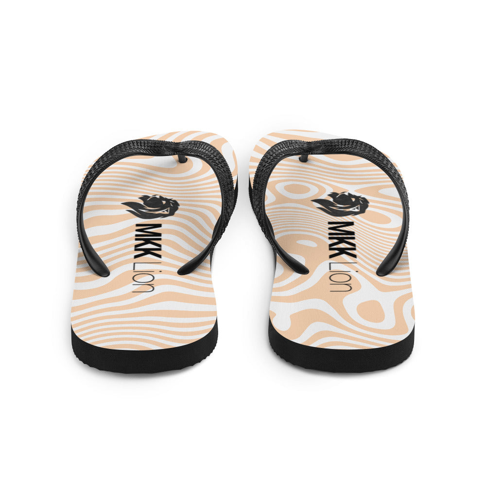 0701 Flip-Flops, Abstract 47