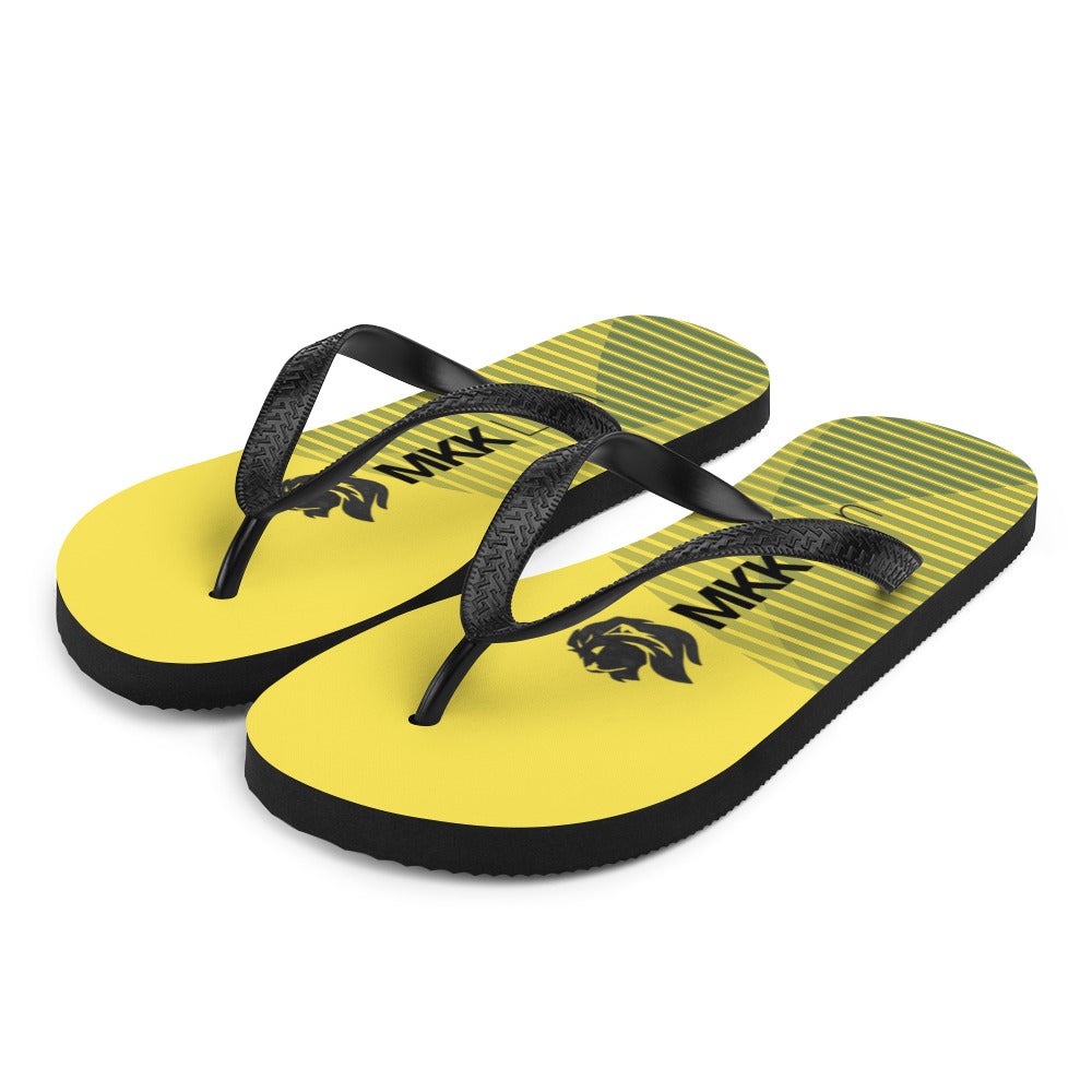 0701 Flip-Flops, Abstract 107