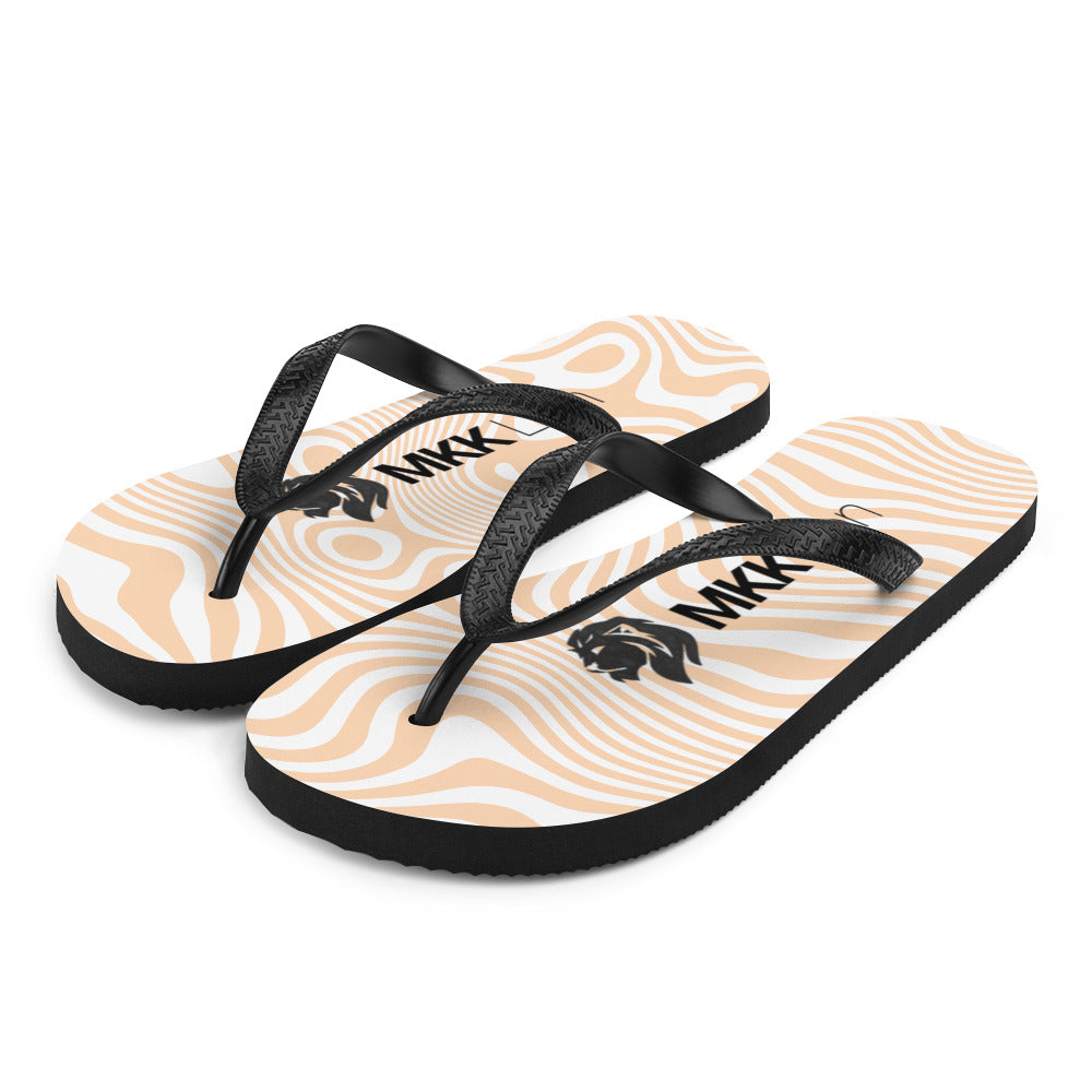 0701 Flip-Flops, Abstract 47