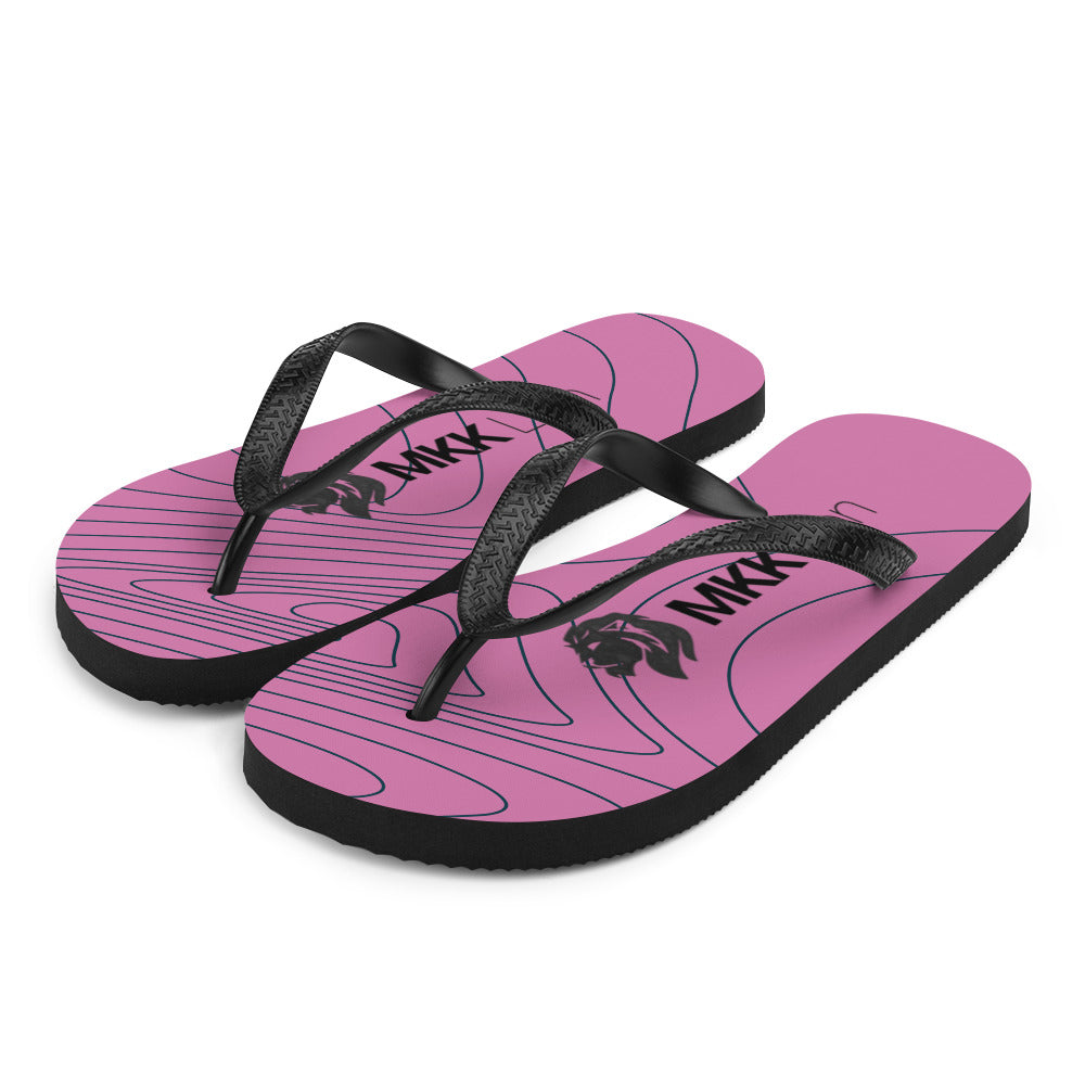 0701 Flip-Flops, Abstract 44