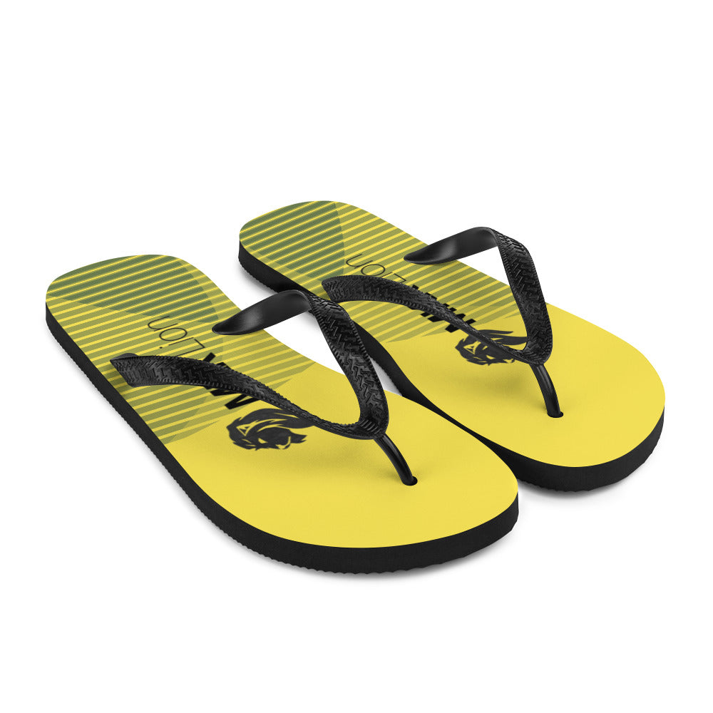 0701 Flip-Flops, Abstract 107