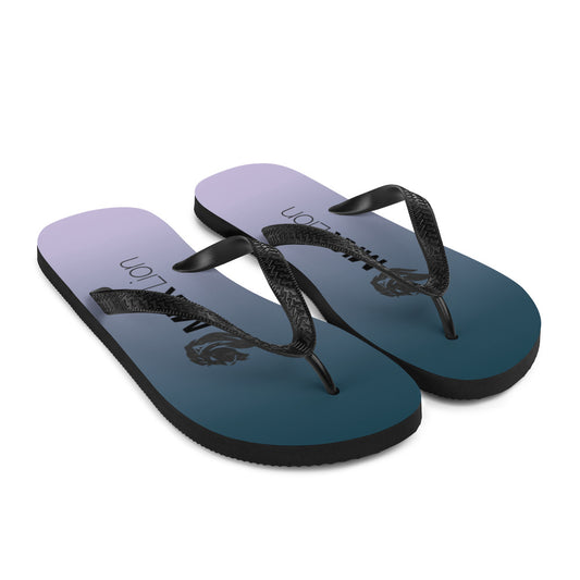 0701 Flip-Flops, Gradient 4