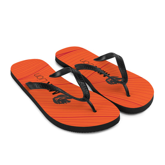 0701 Flip-Flops, Abstract 13