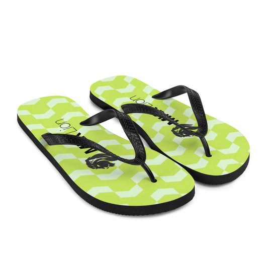 0701 Flip-Flops, Abstract 50