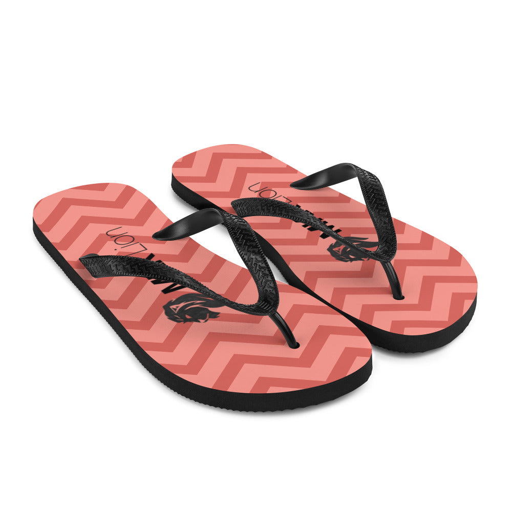 0701 Flip-Flops, Geometric 14