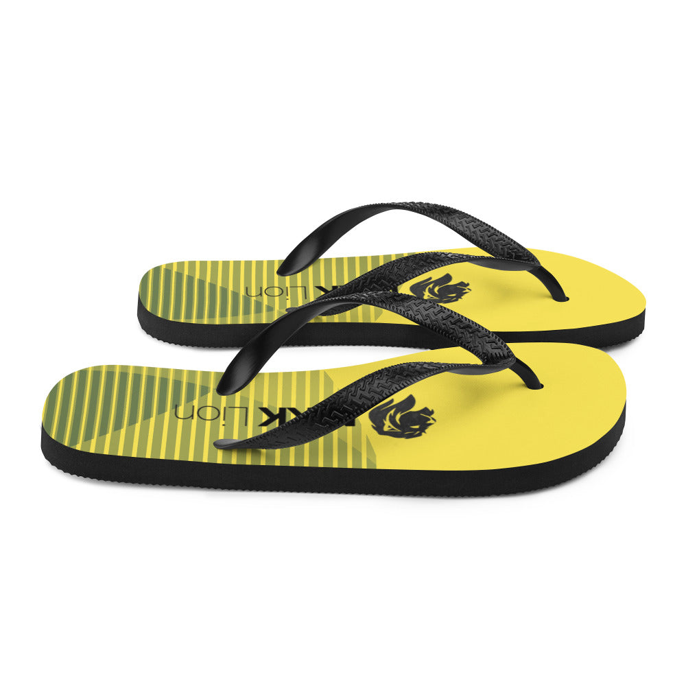 0701 Flip-Flops, Abstract 107